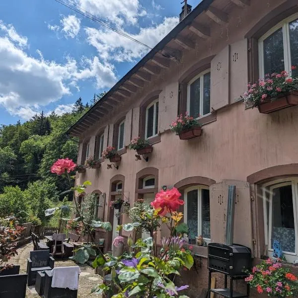 Domaine du KleinHammer, hotel in Windstein