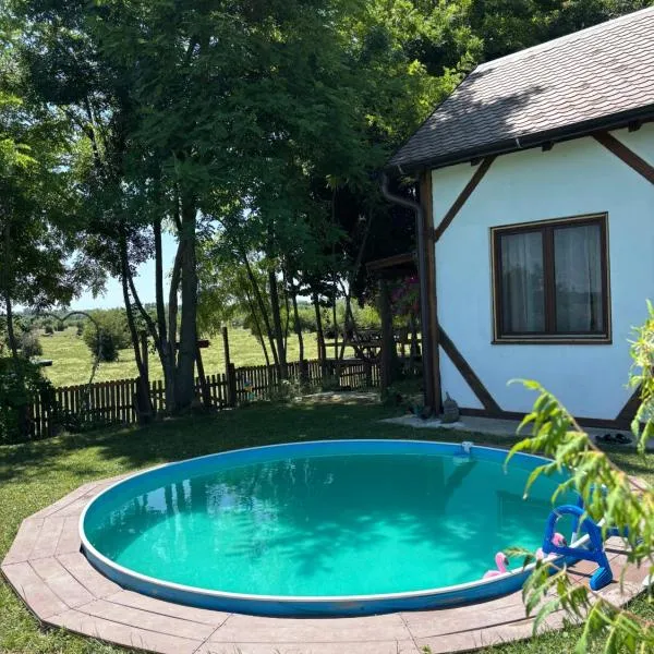 Zasavčanka, hotel v destinaci Sremska Mitrovica