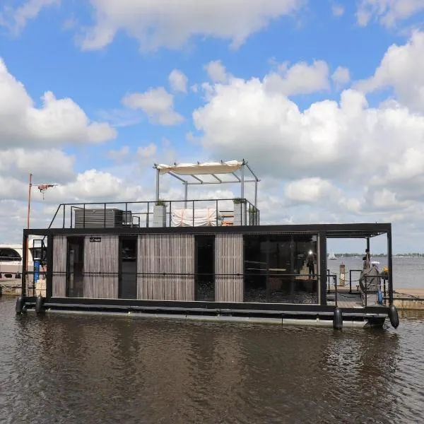 Houseboat with sauna & fantastic view Offingawier, Hotel in Offingawier