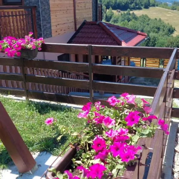 Apartman Sofiana, hotel en Bajina Bašta