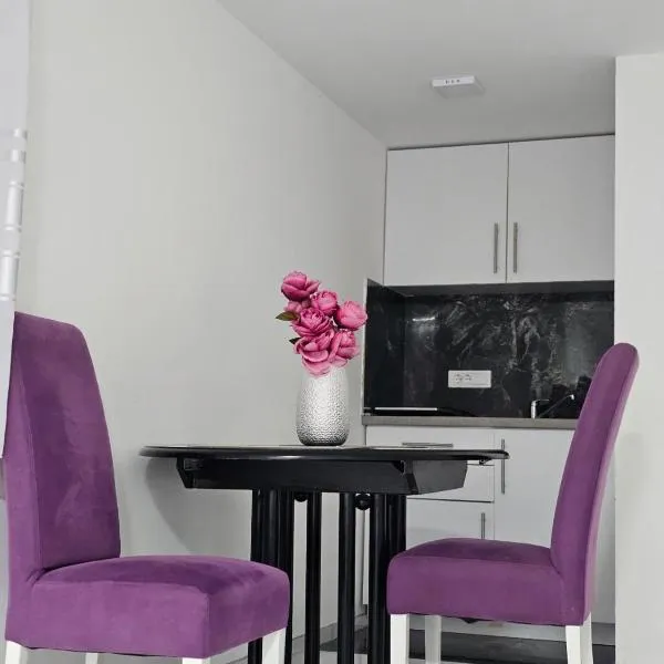 Studio Dana, hotel v destinaci Aranđelovac