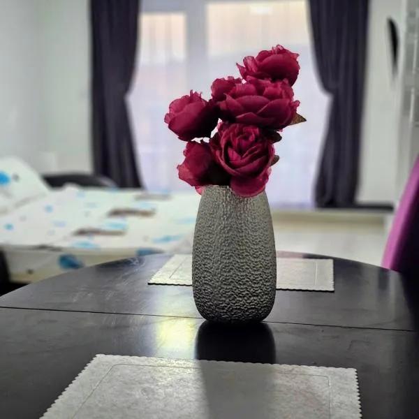 Studio Dana, hotel v destinaci Aranđelovac