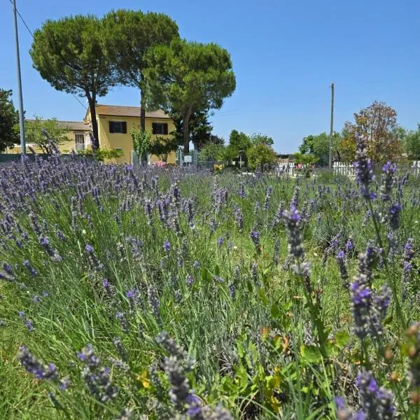 CaSAle, hotel in Castelfidardo