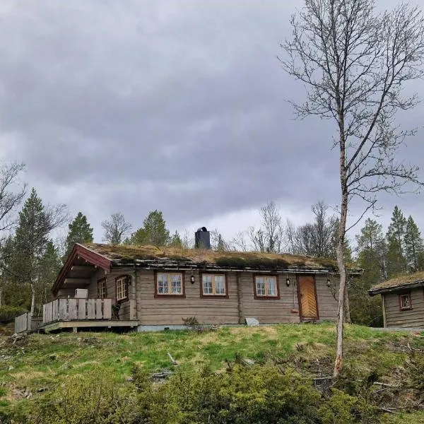 Tømmerhytte Med Udsigt Nær Røros, hotel v destinaci Røros