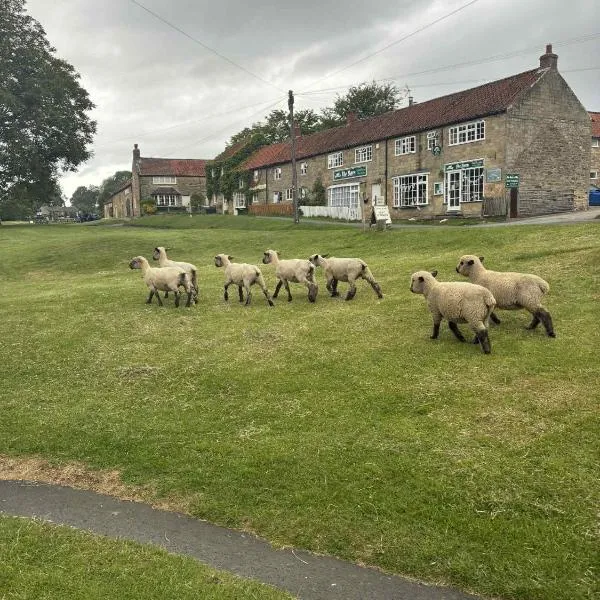 The Barn Guest House and Tearoom, hotel en Hutton le Hole