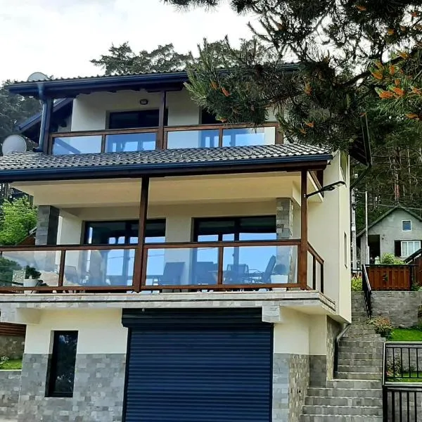 Rodopi Guest House, hotel in Tsigov Chark