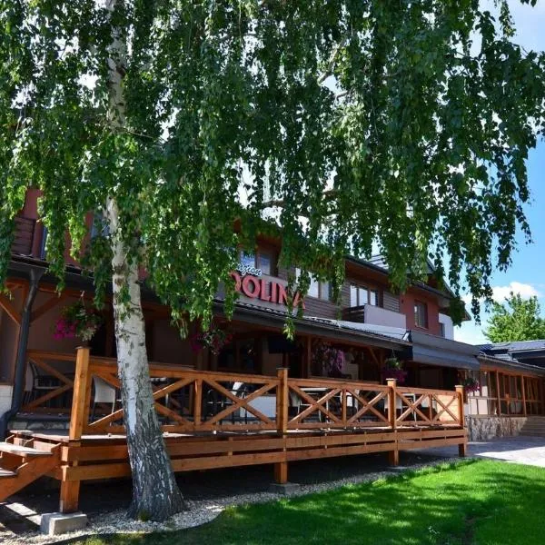Penzión Dolina, hotel in Vinné