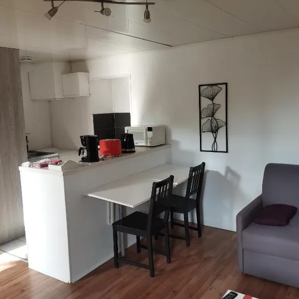 Studio meublé indépendant, hotel in Chambray-lès-Tours