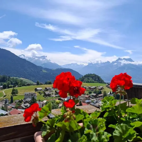 Le Nid d'aigle apt Leysin centre avec forfait piscine sauna jacuzzi en option, hotel v destinaci Leysin