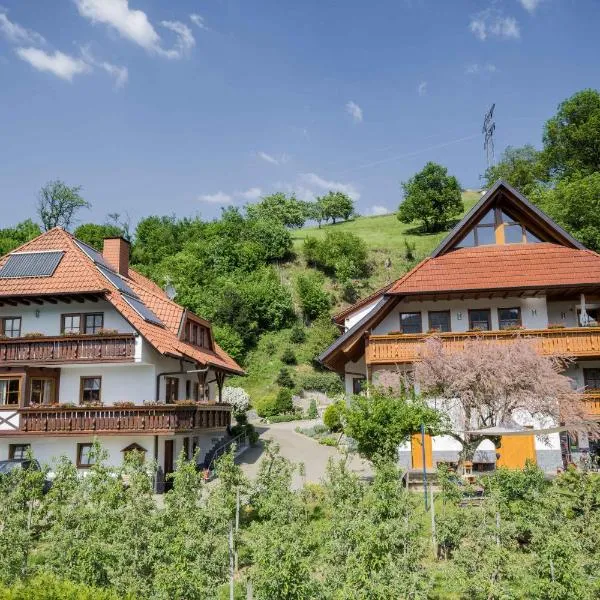 Ferienwohnungen Müller, hotel v destinaci Haslach im Kinzigtal