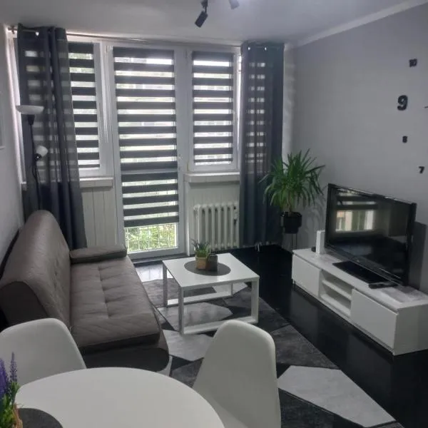 Apartament na Jasnym, hotel in Dzierżoniów
