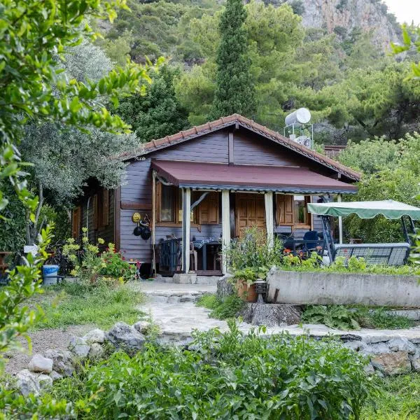 Holiday House Dilek Cirali Kemer Antalya, hotel in Kemer