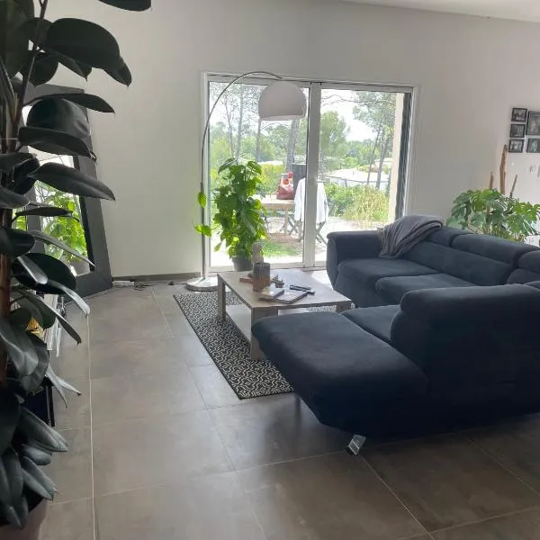 Chambre dans une charmante maison au coeur des vignes du Pic Saint Loup, hotel en Saint-Jean-de-Cuculles