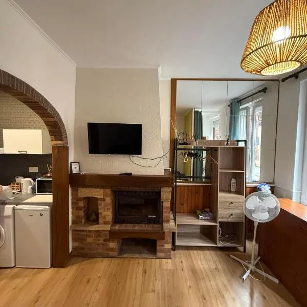 Studio Magnifique, hotel in Darnétal