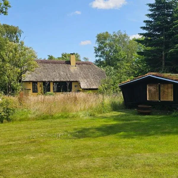 Astrup Vig Hideaway, Thatched Cottage with Shelter & Serenity, khách sạn ở Roslev