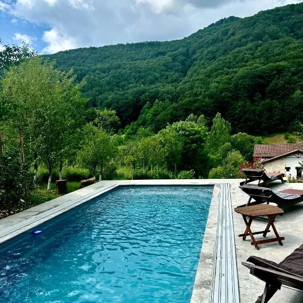 Pensiunea Berg Hill, hotell sihtkohas Băile Olăneşti
