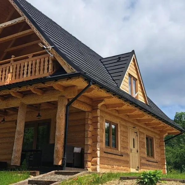 Dom U Eskulapa, hotel di Lutowiska