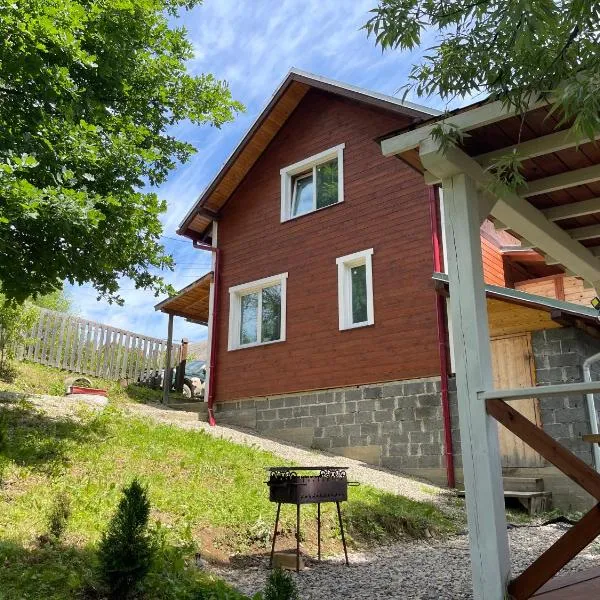 Карпатський котедж Karpatian cottage, hotel v destinaci Vorochta