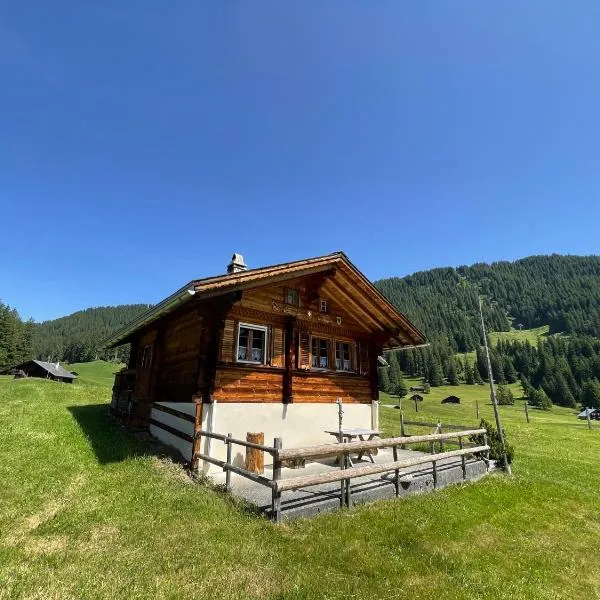Peter's Hütte in Hasliberg Bidmi, khách sạn ở Hasliberg