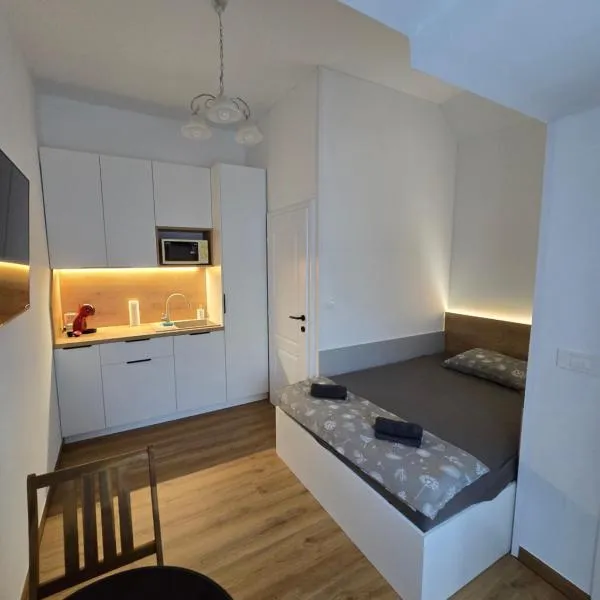 Delux apartment ARSO, hótel í Velenje