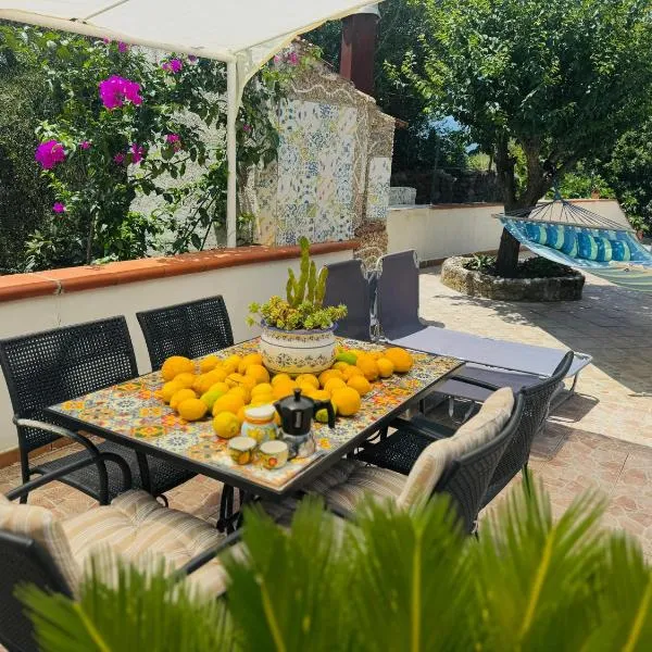 Casa limone Anna e Clemente Cilento, hotel a Sapri