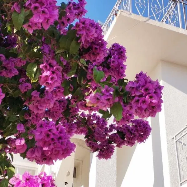 Apartman Mare, hotel in Brodarica