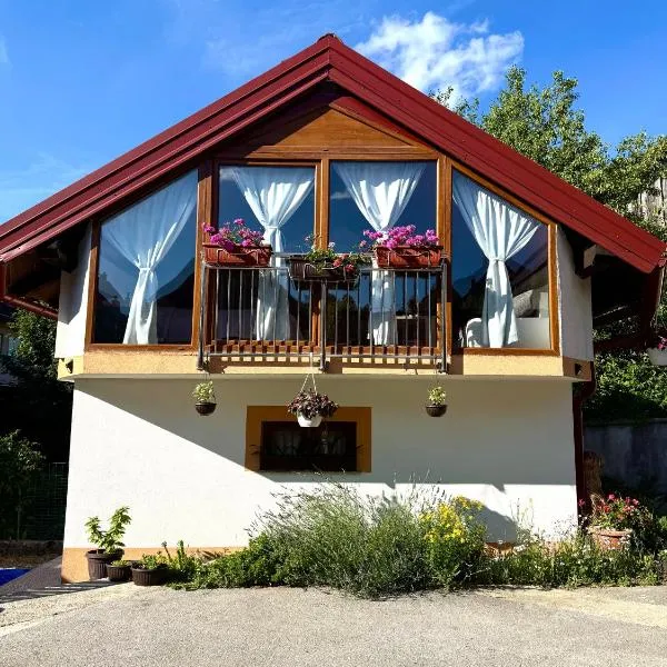 Naša kućica, Studio apartman Ružić, Delnice, Gorski kotar, готель у місті Делнице