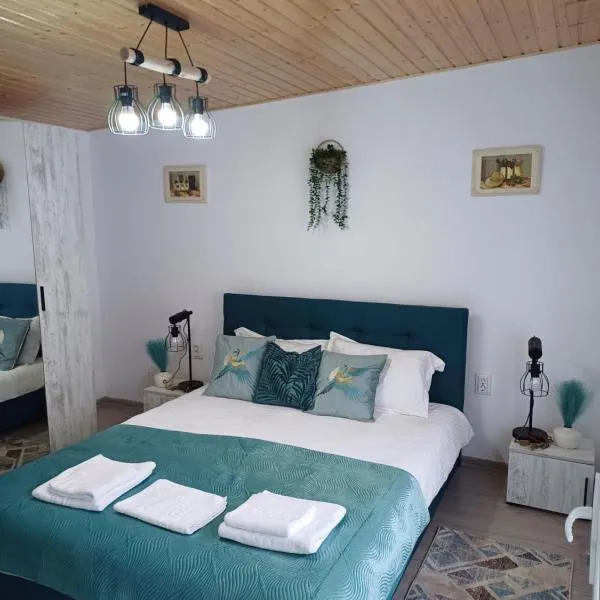 Casa Ioana, hotel v destinaci Ocna Mureş