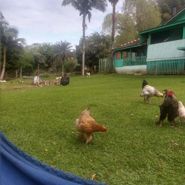Rancho feliz - Foto 3