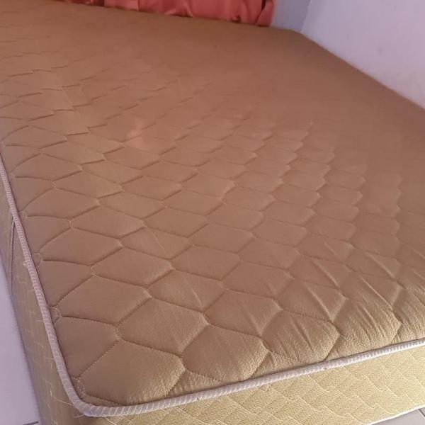Golden Dolphin Grand Hotel - Foto 2
