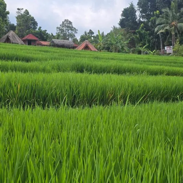 Uma Nirmala Aling-Aling, hotel in Singaraja