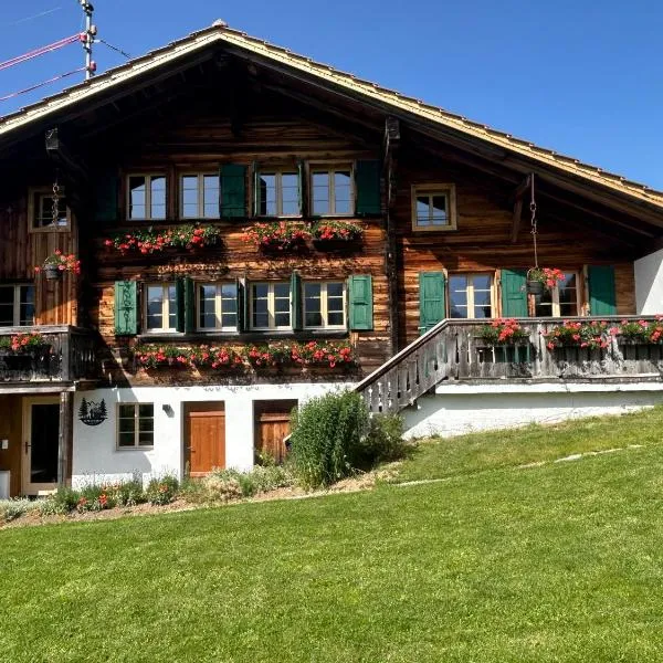 Alpenchalet Haldeli Ferienwohnung, hotel u gradu Gšad