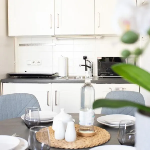 Business Central Apartment Wiesbaden, hotel in Wiesbaden