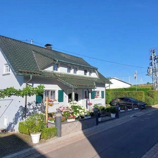Ferienwohnung Aloysia am Saarlandradweg, hotel v destinaci Merzig