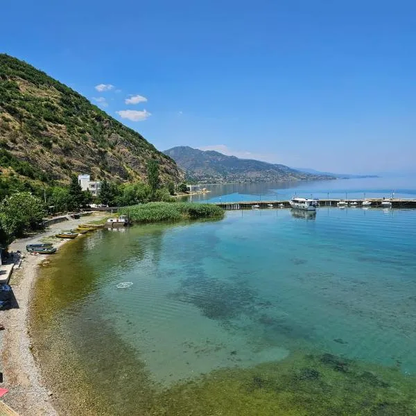 Vila Vako, hotel in Pogradec