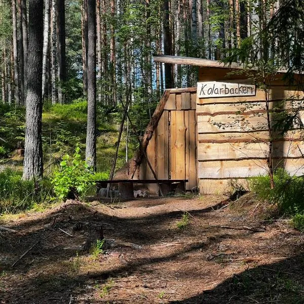 Kolarbacken, hotel in Säter