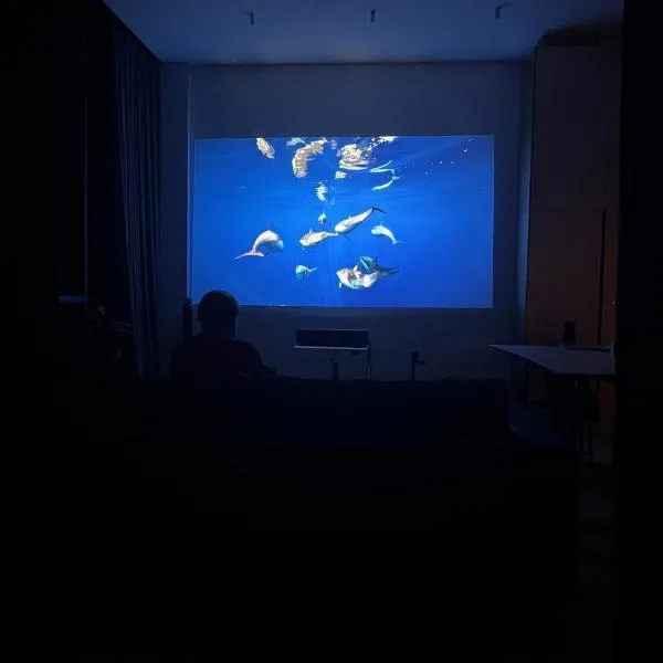 Design apartment with view to Nemunas, Prienai, hotel di Pakapiai