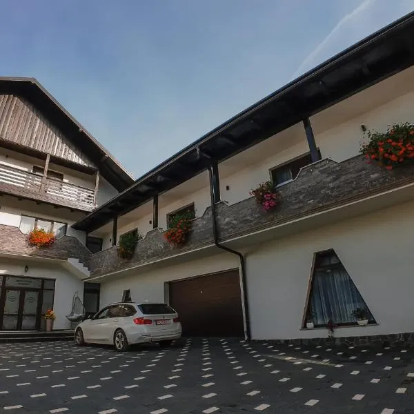 Bucovina Inn, מלון בווֹרוֹנֵץ
