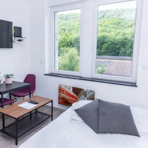 Studio Victor 102 - Petit cocon bien situé, ξενοδοχείο σε Knutange