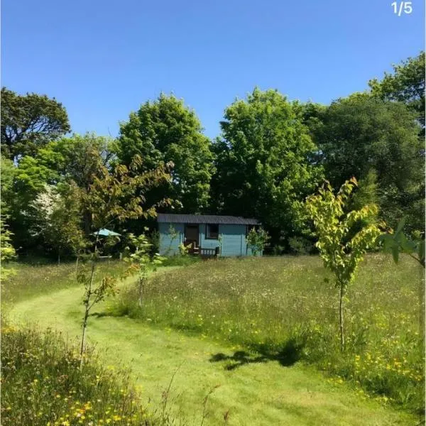 Wild Meadow Camping, hotel a Llandysul