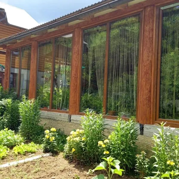 Gostynnyi Dvir u Marichky, hotel sa Lazeshchyna