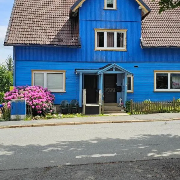 Harzspaß, hotel i Braunlage