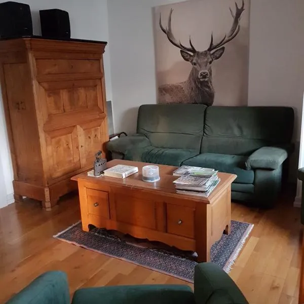 Grand appartement centre ville, hotel v destinaci Gérardmer