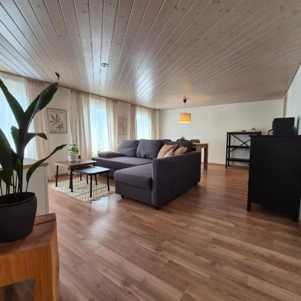 Villa Donkey Ferienwohnung, Hotel in Degersheim