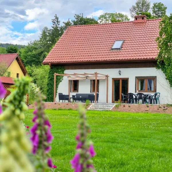 Dom Na Pstrążnicy, hotel v destinaci Kudowa-Zdrój