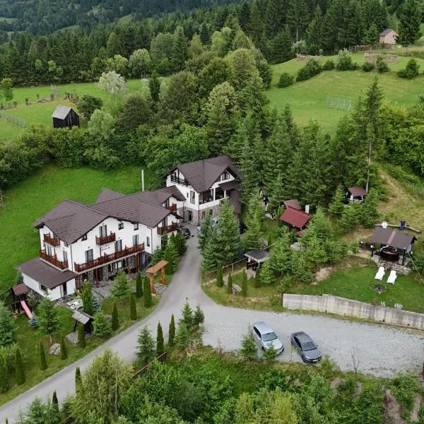 Alpina Panoramic, hotel in Moisei