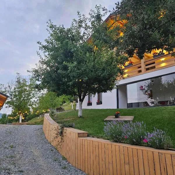 Casa Mara Viseu de Sus, hotel in Vişeu de Sus