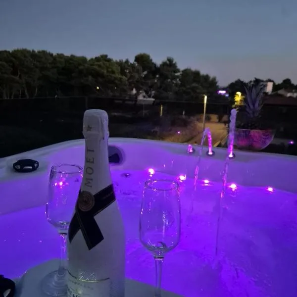 Villa Asa with private Jacuzzi, hotel vo Viry