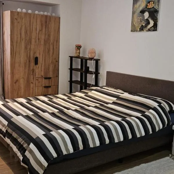 Apartman Star Karlovac, hotel v destinaci Karlovac