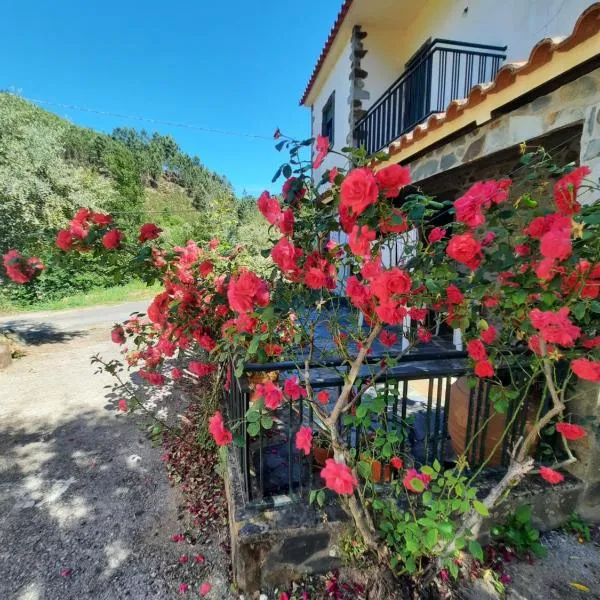 Casa Penafalcão, hotel in Castelo Branco